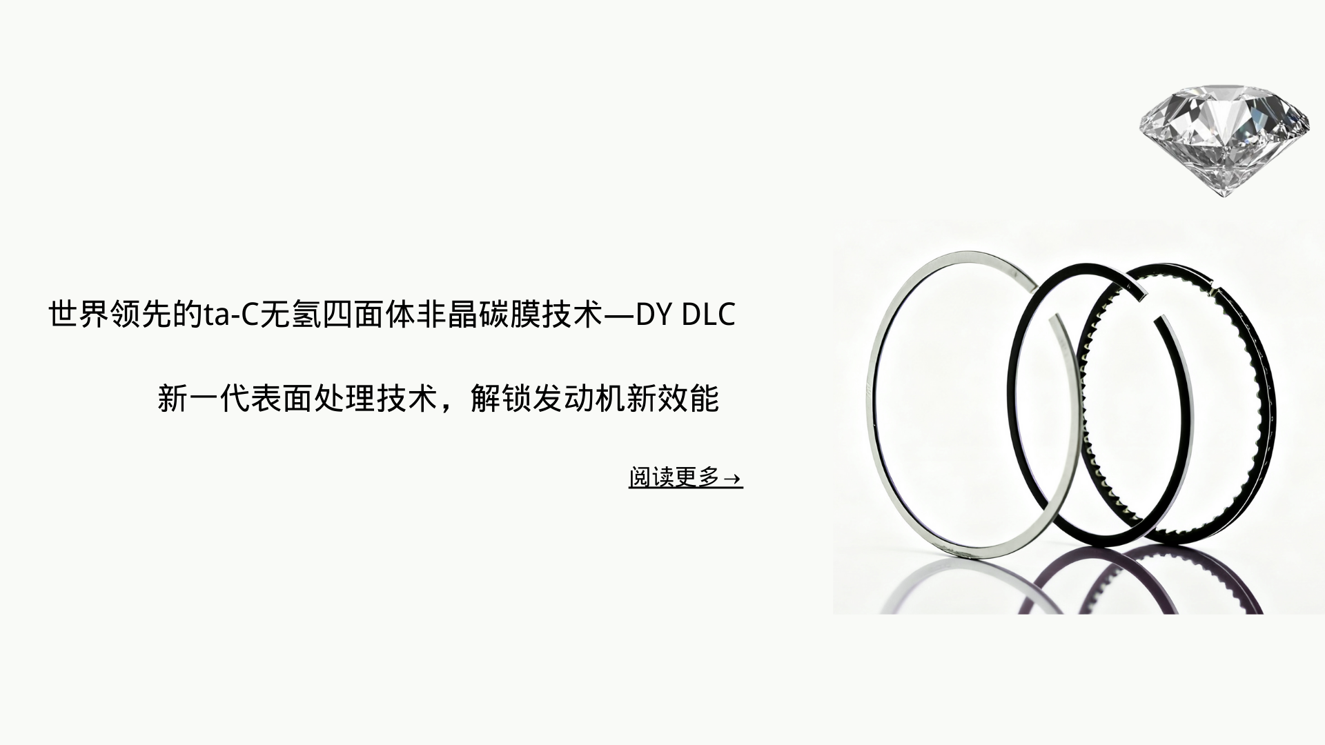 DYDLC 活塞環